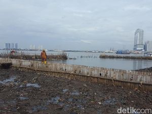 Sudah 116 Ton Sampah Diangkut dari Teluk Jakarta Sudah 116 Ton Sampah Diangkut dari Teluk Jakarta