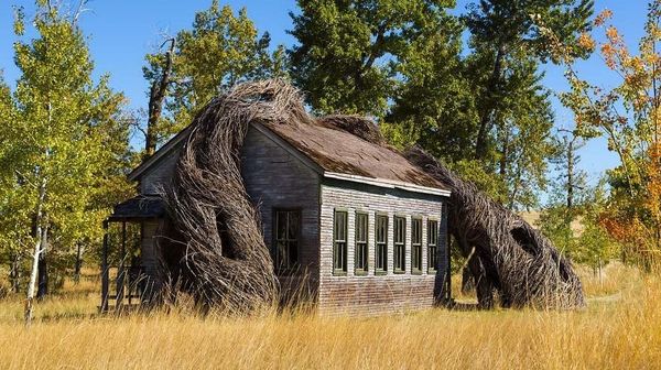 Gokil! Ada Sekolah Dililit Ranting Kayu