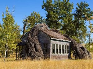 Gokil! Ada Sekolah Dililit Ranting Kayu