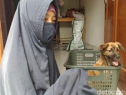 Ini Kata Hesti Wanita Bercadar Soal Liur Anjing Peliharaannya