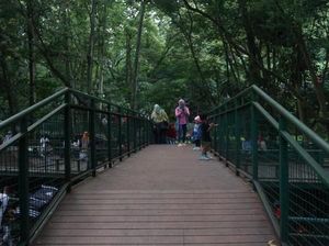 Jalan-jalan Santai di Forest Walk Bandung