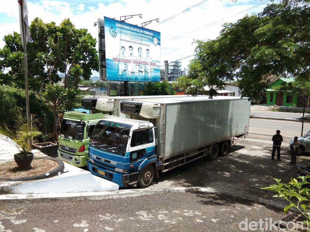 Petugas Sita 2 Truk Kontainer Berisi Ikan Patin dari Malaysia Petugas Sita 2 Truk Kontainer Berisi Ikan Patin dari Malaysia