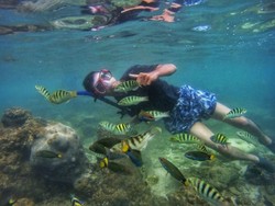Pantai Asyik Buat Basah-basahan di Gunungkidul