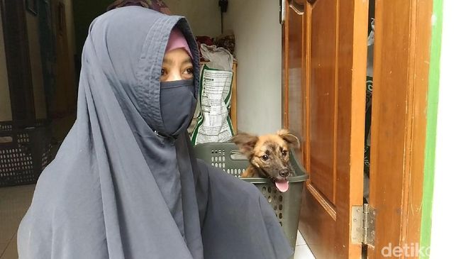 Kisah Hesti, Wanita Bercadar yang Kerap Menolong Anjing 