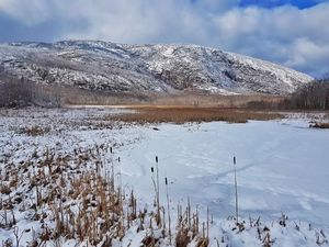 Saat Musim Dingin, Taman Nasional Ini Justru Makin Cantik