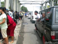 Ular Piton Hebohkan Warga Cibadak Sukabumi