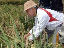 Ketum Golkar: Probosutedjo Beri Inspirasi ke Pengusaha