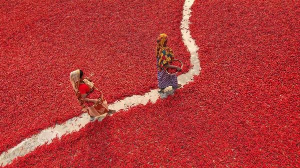 Foto: Kota di Bangladesh Tiba-tiba Jadi Lautan Merah, Ada Apa?