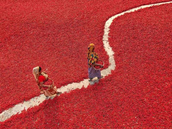 Foto: Kota di Bangladesh Tiba-tiba Jadi Lautan Merah, Ada Apa?