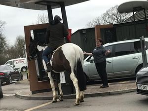 Bikin Kaget! Pria Berkuda Pesan Fast Food Lewat Drive Thru