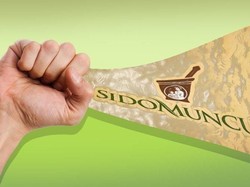 Perusahaan Jamu Ini Cetak Laba Rp 663 M di 2018