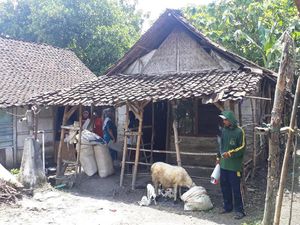 Tingkat Ketimpangan RI Terendah dalam 7 Tahun Terakhir