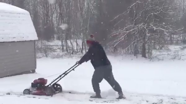 Foto: Tetap Potong Rumput di Tengah Badai Salju