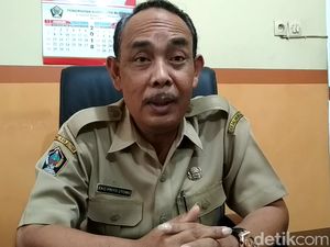 Dispertan soal Padi Raksasa: Belum Tersertifikasi, Jangan Disebar