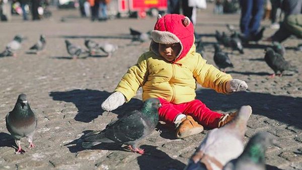 Gemas Maksimal Melihat Tingkah Kawa Saat Liburan di Belanda