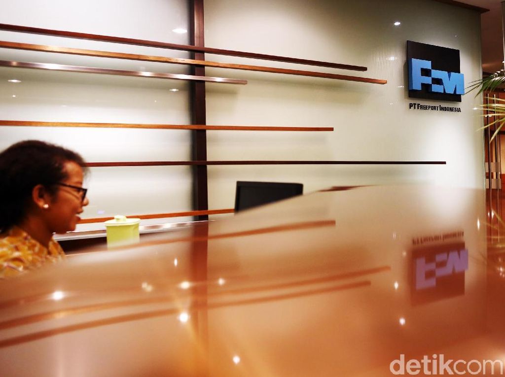 Penentuan Nilai Akuisisi Freeport Sulit, Ini Alasannya Penentuan Nilai Akuisisi Freeport Sulit, Ini Alasannya