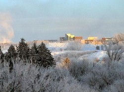 Buah Ini Bisa Bertahan di Suhu Ekstrem Minus 40 Derajat Celcius