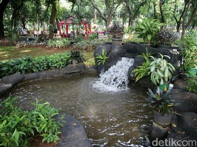 Foto: Asrinya Taman Monas