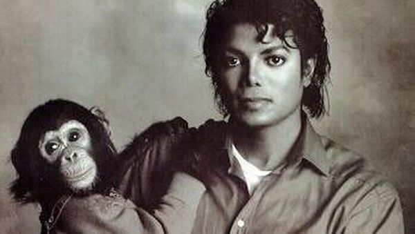 Hewan Peliharaan Para Seleb, dari Simpanse hingga Singa