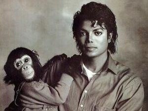 Hewan Peliharaan Para Seleb, dari Simpanse hingga Singa