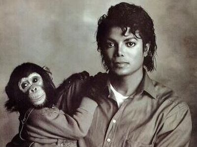 Hewan Peliharaan Para Seleb, dari Simpanse hingga Singa