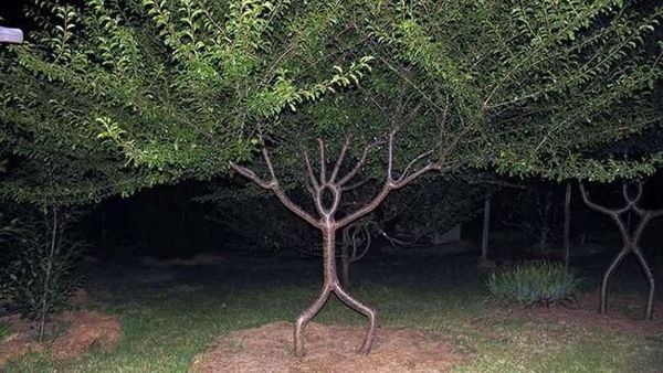 Deretan Foto yang Bikin Bingung dan Membuat Mata Terkecoh