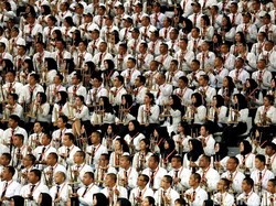 Rekrutmen CPNS di Sulteng Diperpanjang hingga 2019