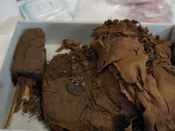 Tersimpan 150 Tahun di Universitas Sydney, Peti Mati Ternyata Berisi Mumi