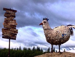Kisah Nyata Kota Unik Bernama Chicken