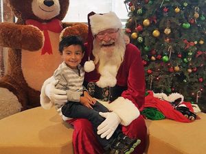 Foto: Bocah 4 Tahun di AS yang Tewas Digigit Anjing Keluarga