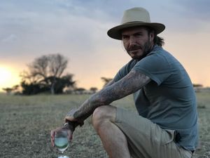 Foto: David Beckham dan Alam