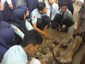 Ajak Murid Lihat Temuan Fosil Ngawi, Guru: Senang Luar Biasa Ini