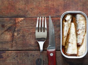 KKP Telusuri Ikan Makarel Bercacing KKP Telusuri Ikan Makarel Bercacing