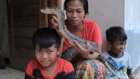 Foto: Lusi Neng Kobra, Sang Pawang Ular dari Bandung