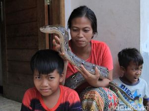 Foto: Lusi Neng Kobra, Sang Pawang Ular dari Bandung Foto: Lusi Neng Kobra, Sang Pawang Ular dari Bandung