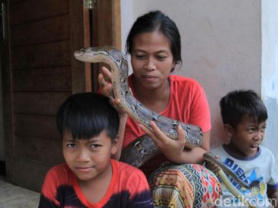 Foto: Lusi Neng Kobra, Sang Pawang Ular dari Bandung