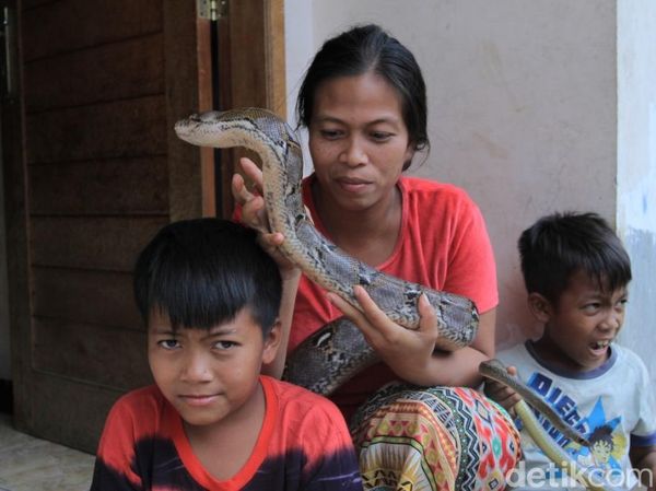 Foto: Lusi Neng Kobra, Sang Pawang Ular dari Bandung