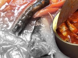 Kasus Makarel Bercacing Bikin Bisnis Pengalengan Ikan Lesu