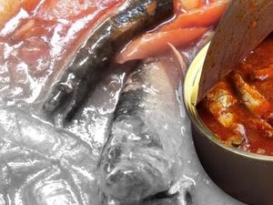 Biar Tak Tertular Cacing dari Ikan Laut, Ini Saran Ahli Pangan Biar Tak Tertular Cacing dari Ikan Laut, Ini Saran Ahli Pangan