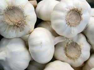 Aroma Yang Dikeluarkan Bawang Ternyata Bisa Membersihkan Sinus Aroma Yang Dikeluarkan Bawang Ternyata Bisa Membersihkan Sinus