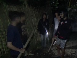 Jaga Kandang dan Kebun, Warga Antisipasi Serangan Anjing Liar