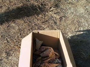 Warga Bojonegoro Temukan Bayi Perempuan di Pinggir Sungai