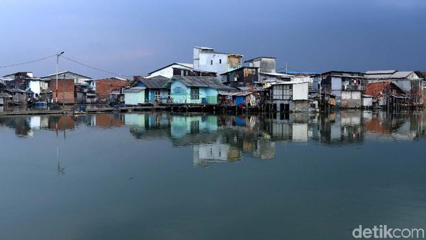 Mengintip Kampung Apung Kapuk yang Kini Bersih