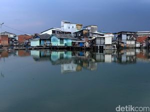 Mengintip Kampung Apung Kapuk yang Kini Bersih