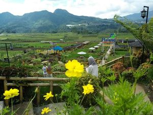 Ide Liburan Long Weekend dari Jokowi: Desa Pujon Kidul Malang