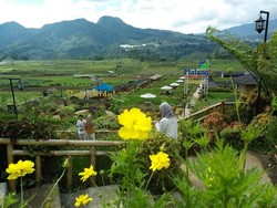 Ide Liburan Long Weekend dari Jokowi: Desa Pujon Kidul Malang