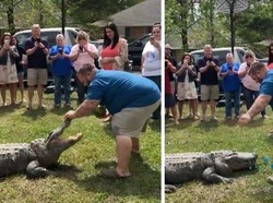 Unik tapi Ngeri, Pasangan Ungkap Jenis Kelamin Bayi Pakai Aligator