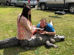 Penampakan Aligator yang Riuhkan Pesta Pasangan di AS