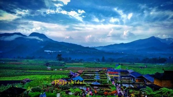 Foto: Pesona 7 Destinasi Malang yang Tak Ada Habisnya