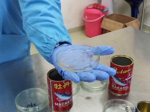 BBPOM Temukan 7 Produk Ikan Makarel Bercacing di Surabaya BBPOM Temukan 7 Produk Ikan Makarel Bercacing di Surabaya